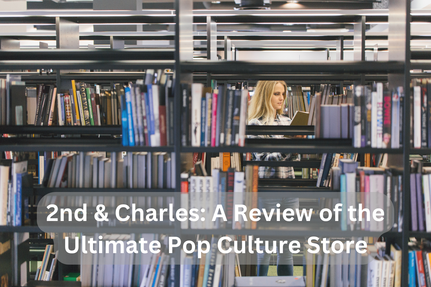 2nd & Charles_ A Review of the Ultimate Pop Culture Store