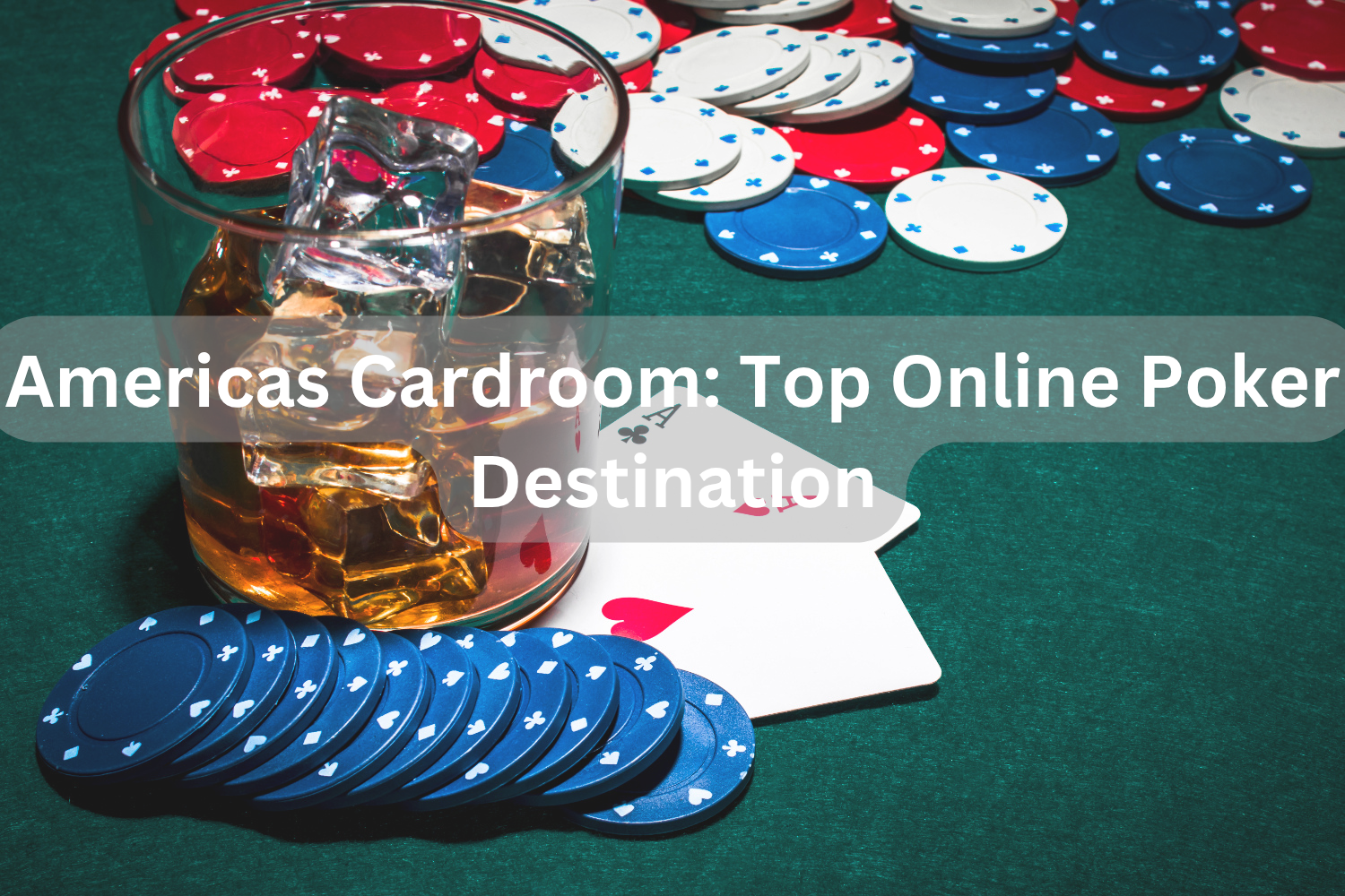 Americas Cardroom_ Top Online Poker Destination