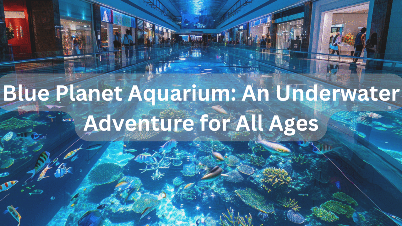 Blue Planet Aquarium: An Underwater Adventure for All Ages