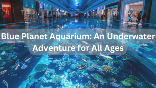 Blue Planet Aquarium: An Underwater Adventure for All Ages