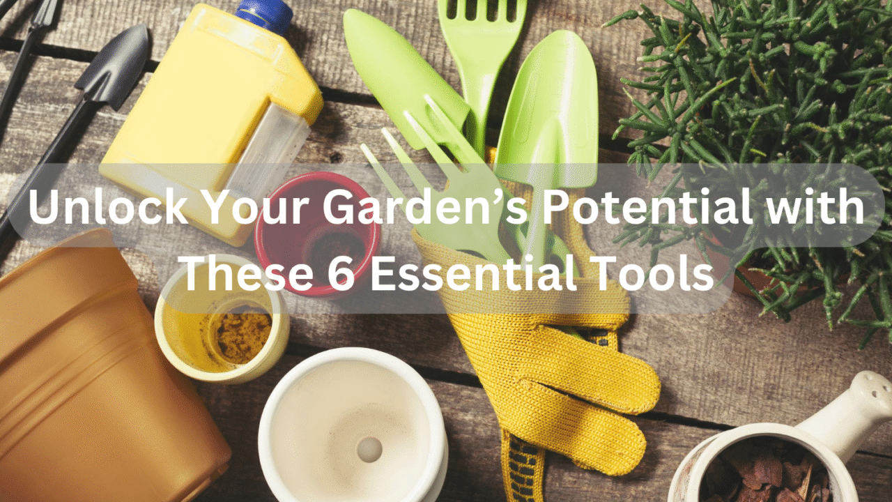 Unlock Your Garden’s Potential with These 6 Essential Tools