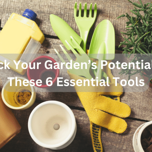 Unlock Your Garden’s Potential with These 6 Essential Tools