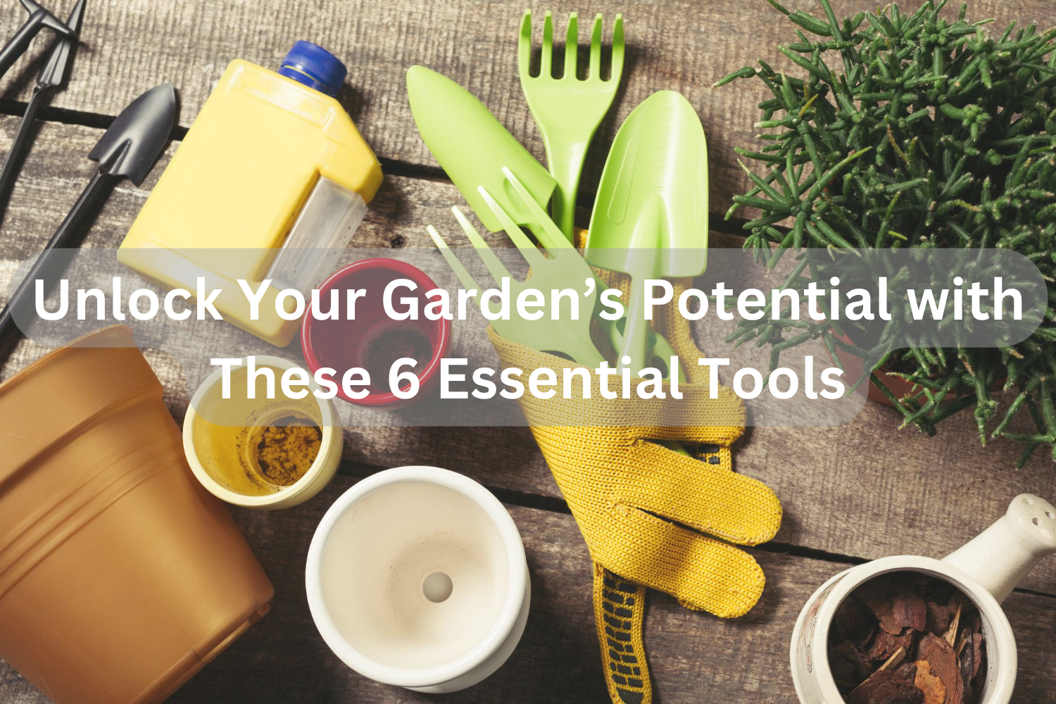 Unlock Your Garden’s Potential with These 6 Essential Tools