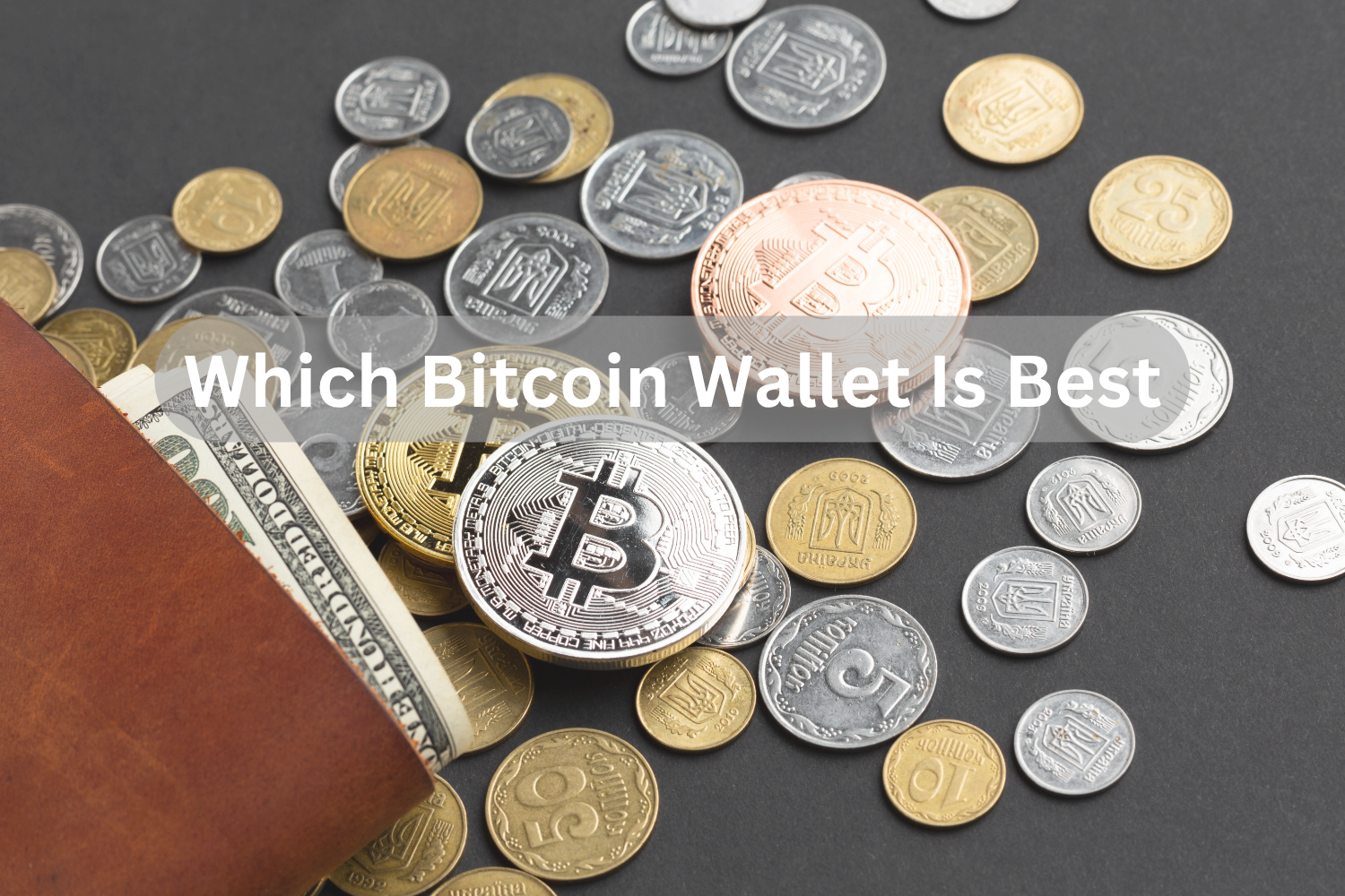 Which Bitcoin Wallet Is Best