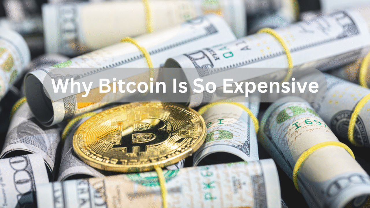 Why Bitcoin Is So Expensive