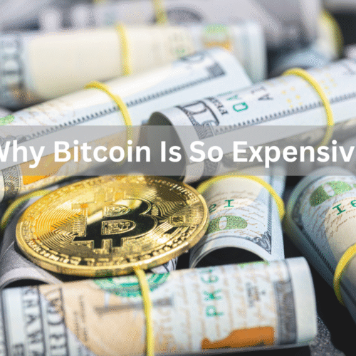 Why Bitcoin Is So Expensive